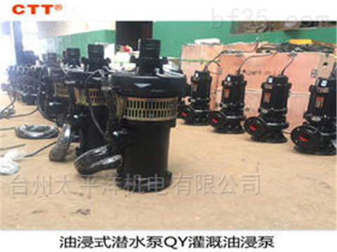 QY油浸式潜水泵 铁壳充油式电泵
