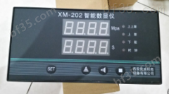 西安庆成XTY-60,LYL-60压力表氧气表两用校验器QC-60S