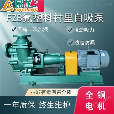 FZB氟塑料合金耐酸碱自吸泵卧式盐酸化工泵