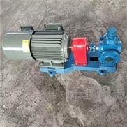 YCB0.6-圆弧齿轮泵 高温齿轮油泵
