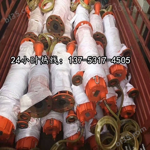 潜水立式排污泵BQS70-130/2-55/N九江图片