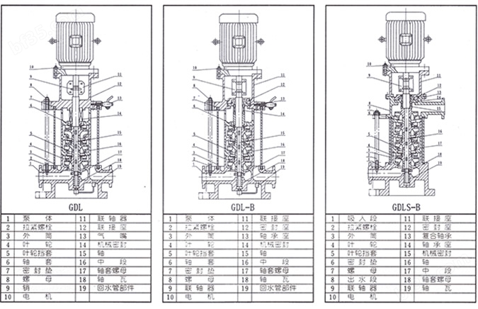 CGDL管道泵 结构简图