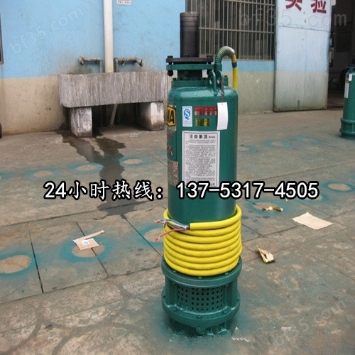BQS80-180/3-90/N自吸式隔爆潜水排沙泵*蚌埠市