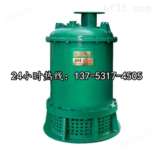 矿用潜水立式排污泵BQS50-170/3-55/N阳江市图片