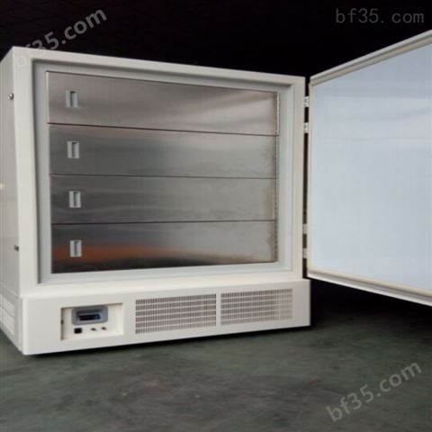 立式大容积超低温冰箱/零下40度生物保存箱