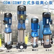 南泵热水型立式多级离心泵CDMF32-60FSWSR